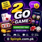 2 Go Game