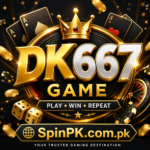 DK667 Game