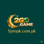 2GO Game