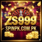 ZS999 Game