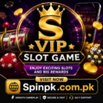S VIP Slot Game