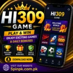 HI309 Game