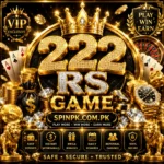222RS Game