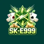Ske999 Game